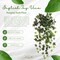 19" Artificial English Ivy Hanging Bush — Lifelike Silk Leaves, UV-Safe Faux Greenery for Patios, Shelves & Hanging Baskets | Floral Home